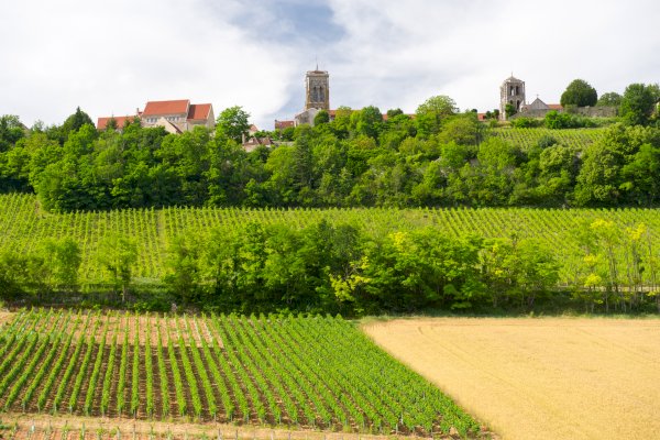 Ophorus Tours - From Beaune Grands Crus Burgundy Wine Tour private