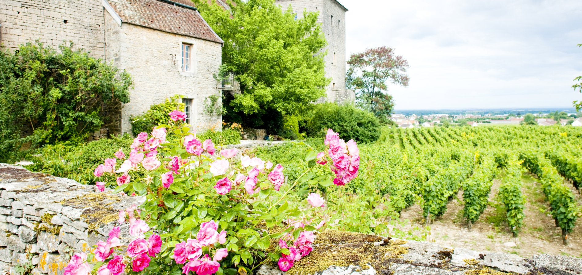 Ophorus Tours - A Private Burgundy Gourmet Food & Wine Tour from Beaune