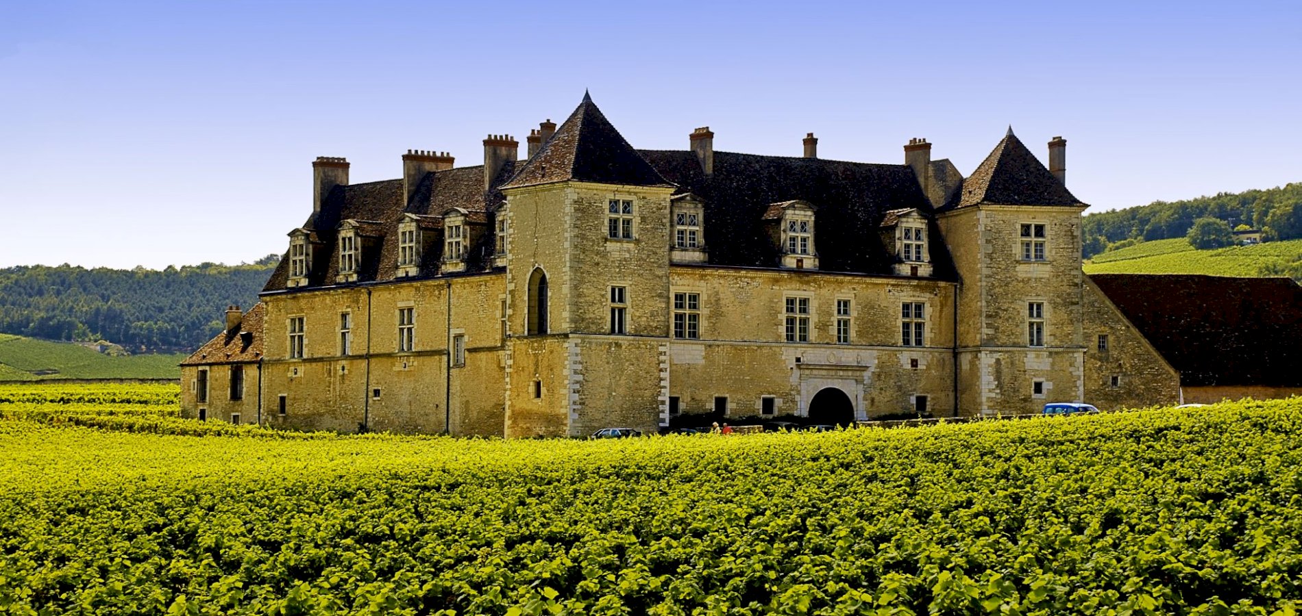 Ophorus Tours - Burgundy Wine Tour & Clos de Vougeot Shared Half Day Trip from Dijon 