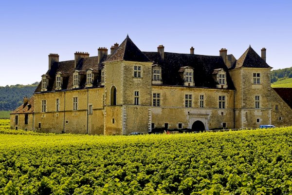 Ophorus Tours - Burgundy Wines & Château Clos de Vougeot Visit Shared Half Day Trip from Dijon