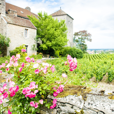 Scenic Drive Along the Route des Grands Crus