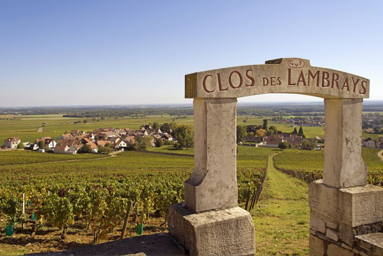Ophorus Tours - Discover Côte de Beaune: Private Half-Day Wine Tour from Dijon