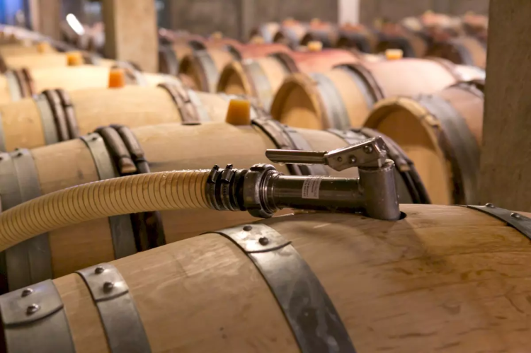 Ophorus Tours - Discover Côte de Beaune: Private Half-Day Wine Tour from Dijon