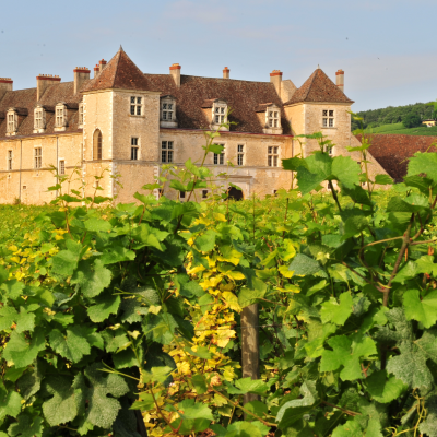 Château du Clos de Vougeot visit