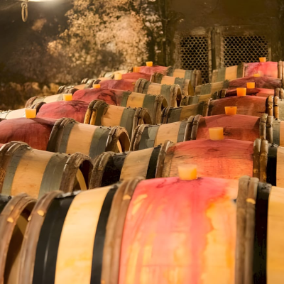 Côte de Nuits afternoon tasting and return