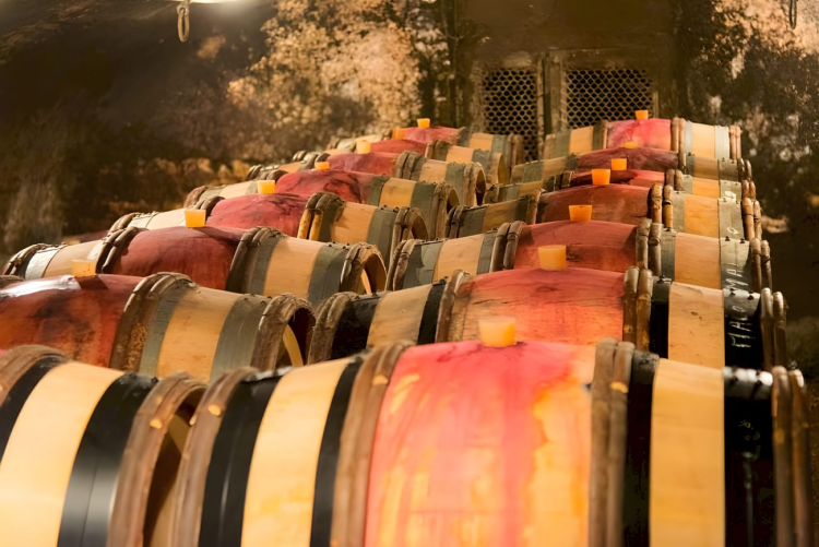 Ophorus Tours - Côte de Nuits & Côte de Beaune: Private Burgundy Wine Tour from Dijon