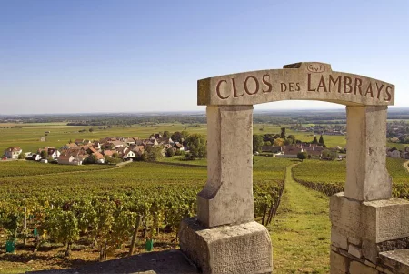 Côte de Nuits & Côte de Beaune: Private Burgundy Wine Tour from Dijon