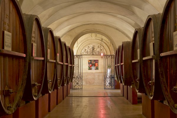 Ophorus Tours - A Private Day Trip from Dijon Burgundy Wine & Culinary Tour 