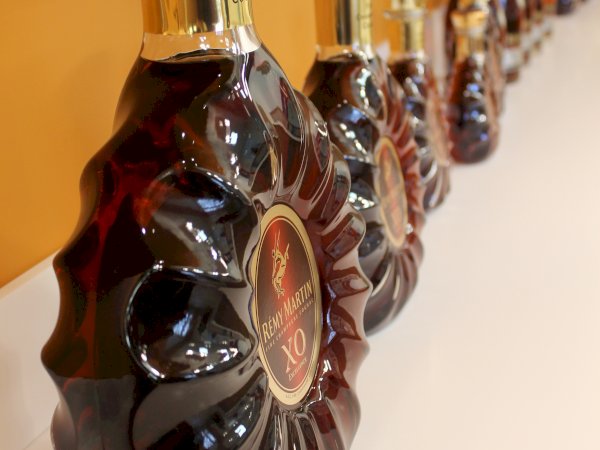 Introduction to Rémy Martin Louis XIII Visit & Tasting in Cognac