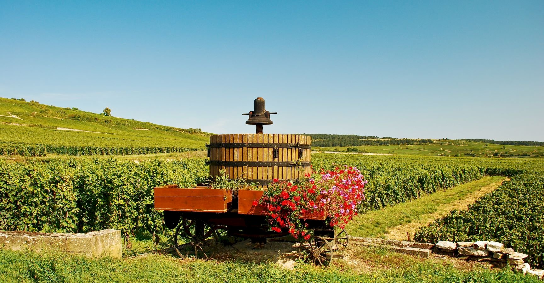 Ophorus Tours - 4 Days Private Burgundy Wine Tour Packages - Dijon - 4* Hotel