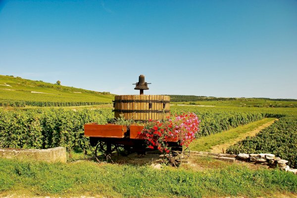 Ophorus Tours - 4 Days Private Burgundy Wine Tour Packages - Dijon - 4* Hotel