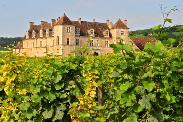 Ophorus Tours - 4 Days Burgundy Wine Tour Private Travel Package - Dijon - 5* Hotel Option
