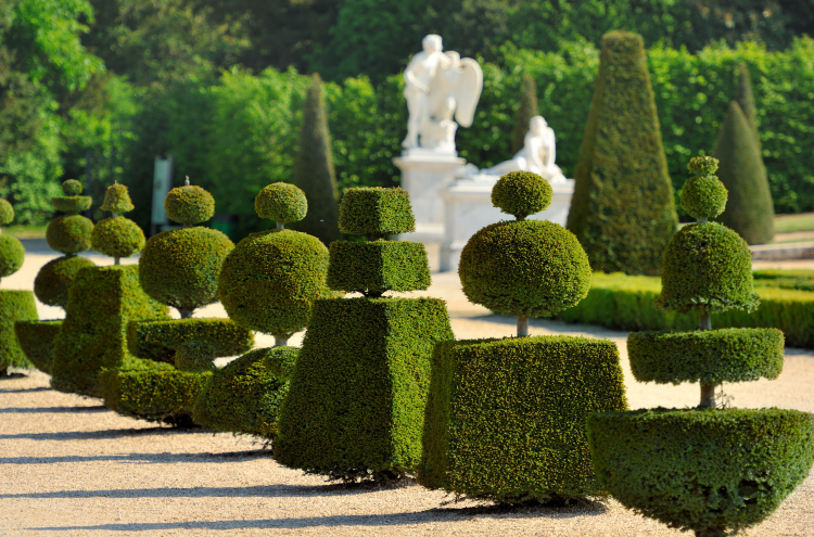 Ophorus Tours - Discover Versailles : Small Group Half-Day Tour from Paris
