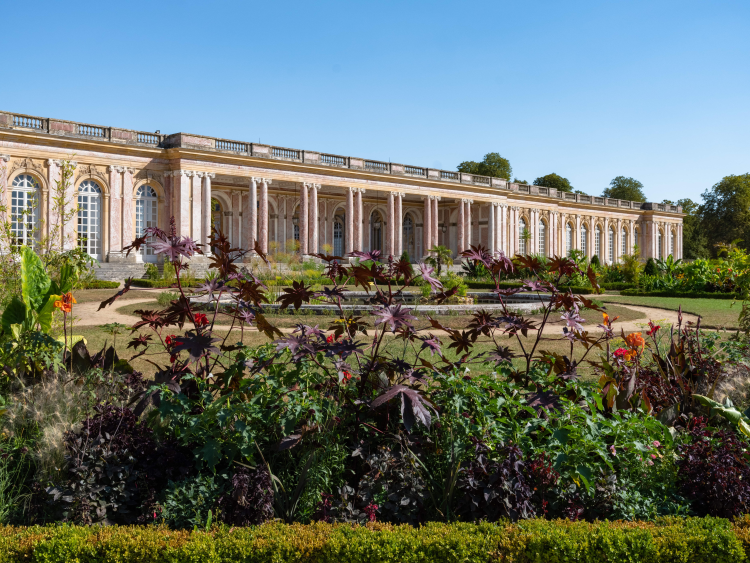 Ophorus Tours - Versailles Palace full entrance ticket Day Trip from Paris