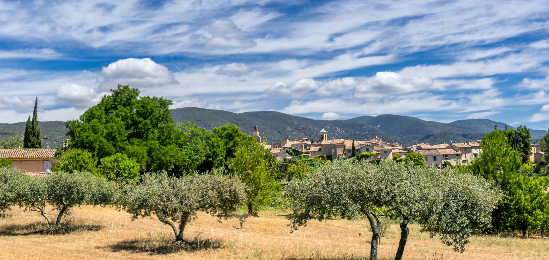 Ophorus Tours - From Aix en Provence to villages of the Luberon tour half-day private