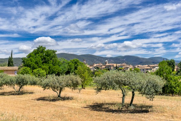 Ophorus Tours - From Aix en Provence to villages of the Luberon tour half-day private