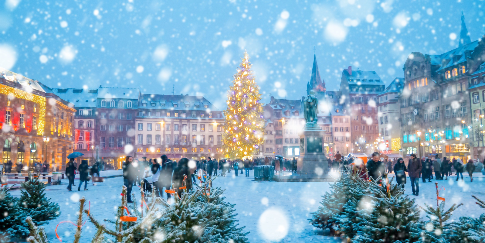 Ophorus Tours - Alsace Christmas Markets Tour: Explore Festive Delights