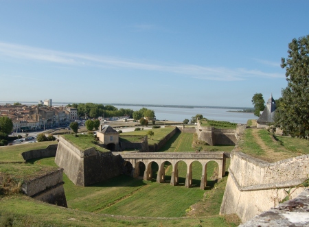 Ophorus Tours - From La Rochelle Bordeaux Wine Tour Private Shore Excursion