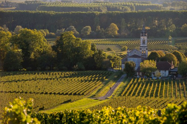 Ophorus Tours - Château d'Yquem Visit & Wine Tasting - Trilogy Tour