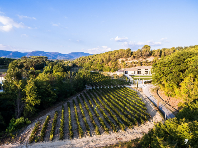 Ophorus Tours - Luberon Villages & Olive Oil Tour from Aix-en-Provence