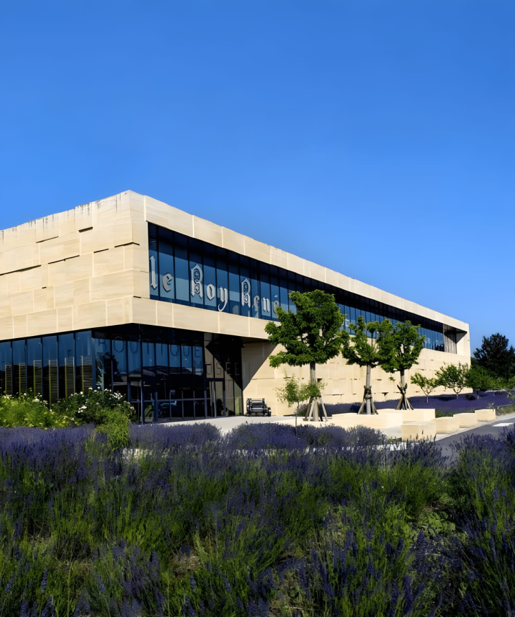 Ophorus Tours - Luberon Villages & Olive Oil Tour from Aix-en-Provence