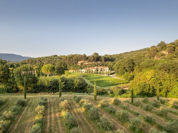 Ophorus Tours - Luberon Villages & Olive Oil Mill Tour from Aix-en-Provence