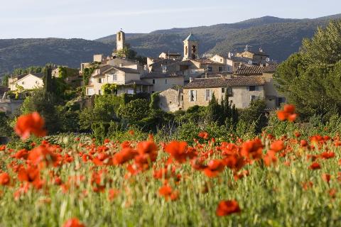 Ophorus Tours - Luberon Villages & Olive Oil Mill Tour from Aix-en-Provence