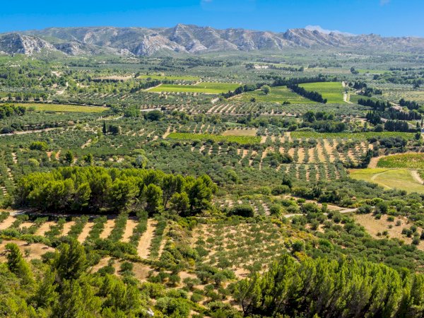 Ophorus Tours - Arles, Saint Rémy & Les Baux : A Cultural Tour in Provence
