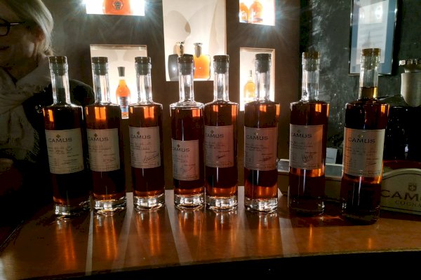 Ophorus Tours - A Private Shore Excursion From Bordeaux to Visit Cognac Distilleries