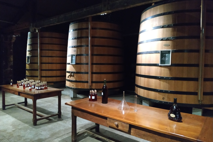 Ophorus Tours - La Rochelle Shore Excursion to Cognac Distilleries