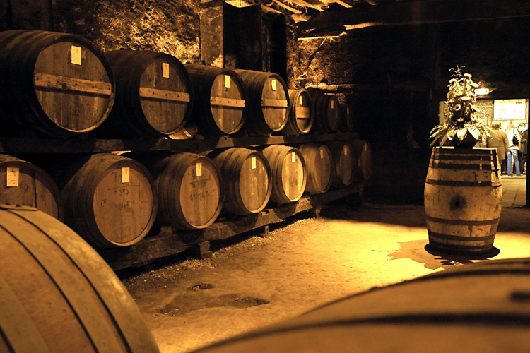 Ophorus Tours - La Rochelle Shore Excursion to Cognac Distilleries