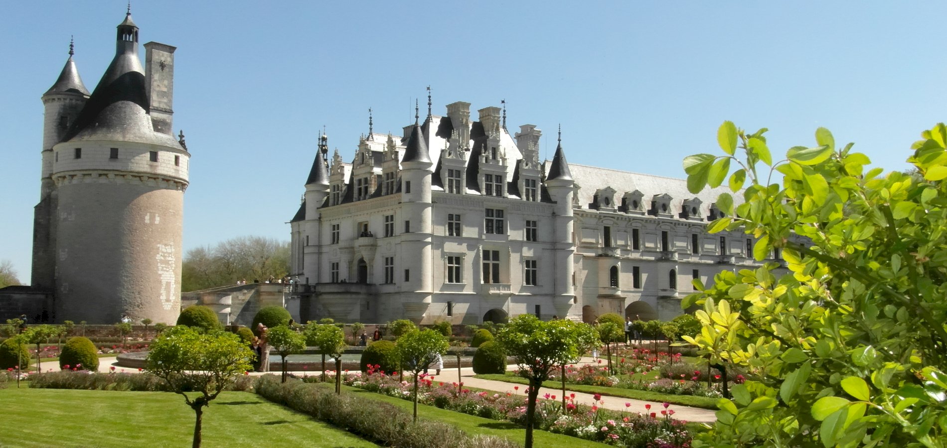 Ophorus Tours - Chenonceau Castle: Exploring Renaissance Elegance from Tours