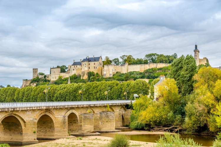 Ophorus Tours - Loire Valley Wine Tour : Exploring Chinon & Bourgueil Vineyards