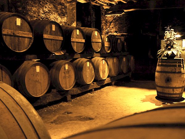 Ophorus Tours - Explore Cognac's Secrets: Private Distillery Tour & Tasting from Bordeaux