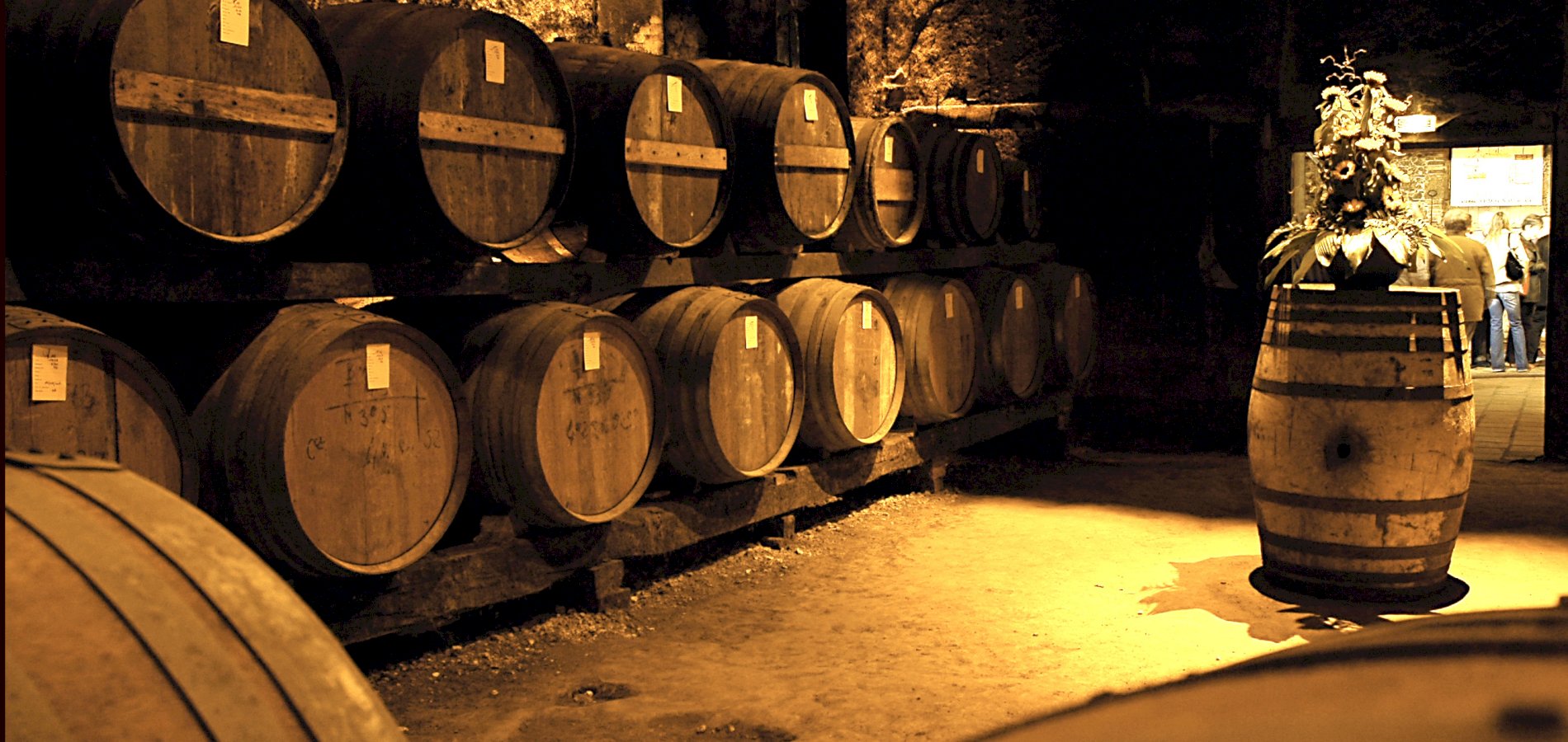 Ophorus Tours - Explore Cognac's Secrets: Private Distillery Tour & Tasting from Bordeaux