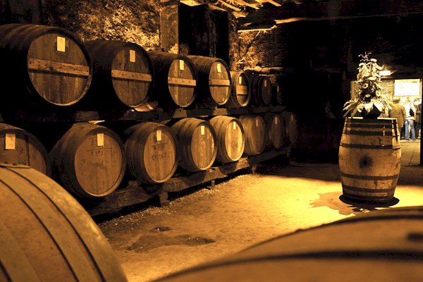 Ophorus Tours - Explore Cognac's Secrets: Private Distillery Tour & Tasting from Bordeaux