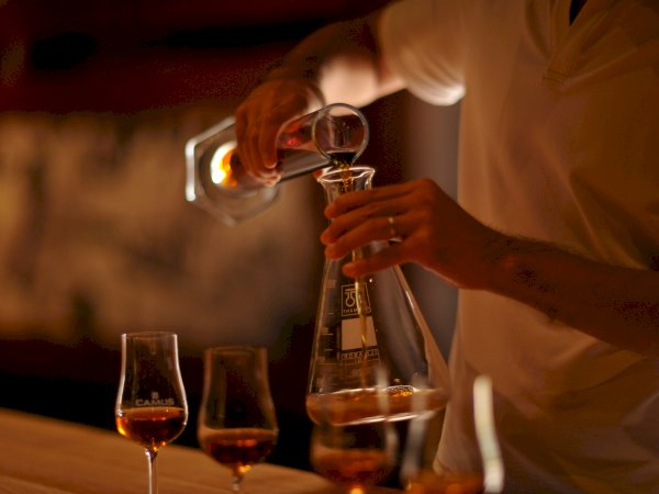 Ophorus Tours - Explore Cognac's Secrets: Private Distillery Tour & Tasting from Bordeaux