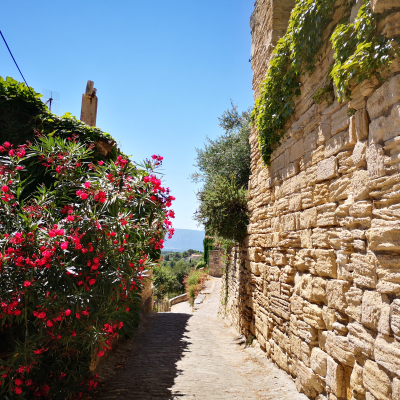 Guided visit of Gordes