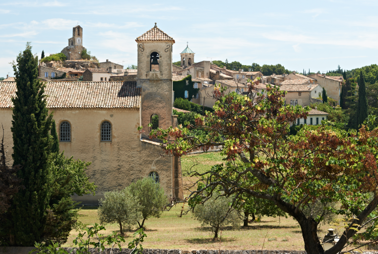 Ophorus Tours - Medieval Villages & Luberon Beauty: Private Shore Excursion from Marseille