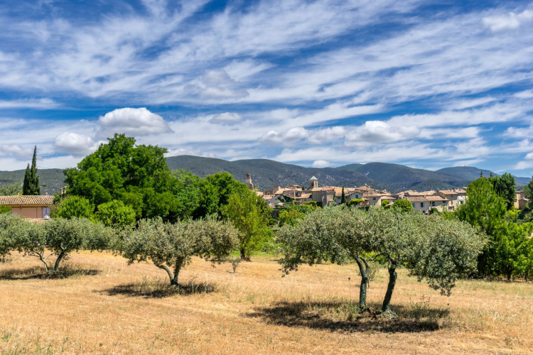 Ophorus Tours - Medieval Villages & Luberon Beauty: Private Shore Excursion from Marseille