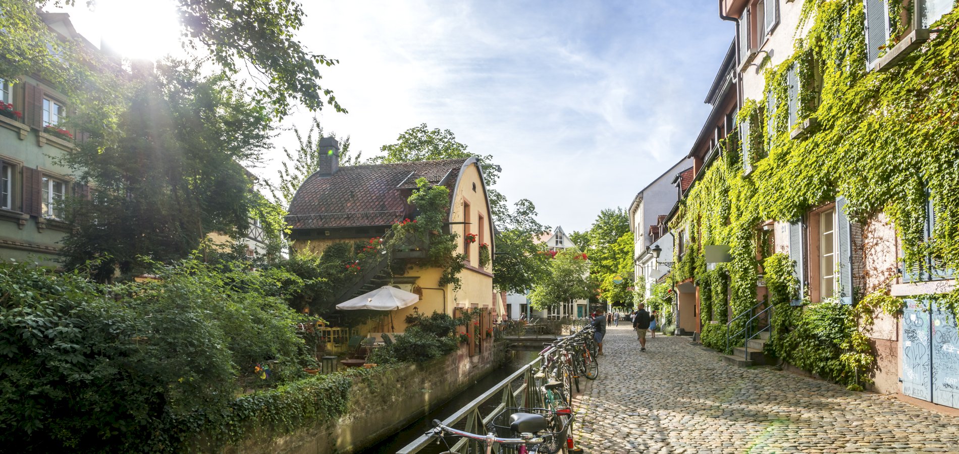 Ophorus Tours - Freiburg & Black Forest Highlights: Private Tour from Mulhouse