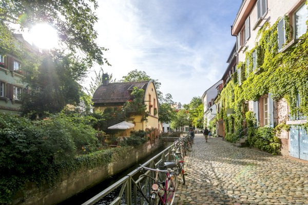 Ophorus Tours - From Mulhouse to Freiburg & The Black Forest tour private