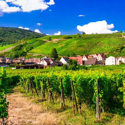 Scenic drive to Colmar