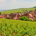 Explore authentic Alsace villages - Lunch