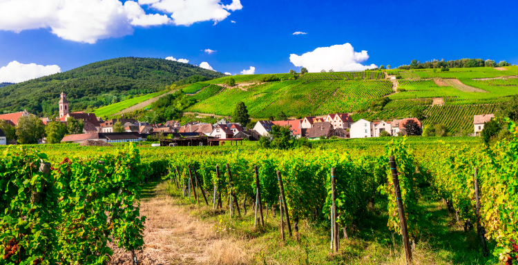 Ophorus Tours - Taste of Alsace: A Full Day Wines & Villages Private Tour from Strasbourg