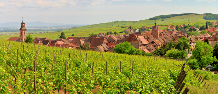 Ophorus Tours - Taste of Alsace: A Full Day Wines & Villages Private Tour from Strasbourg