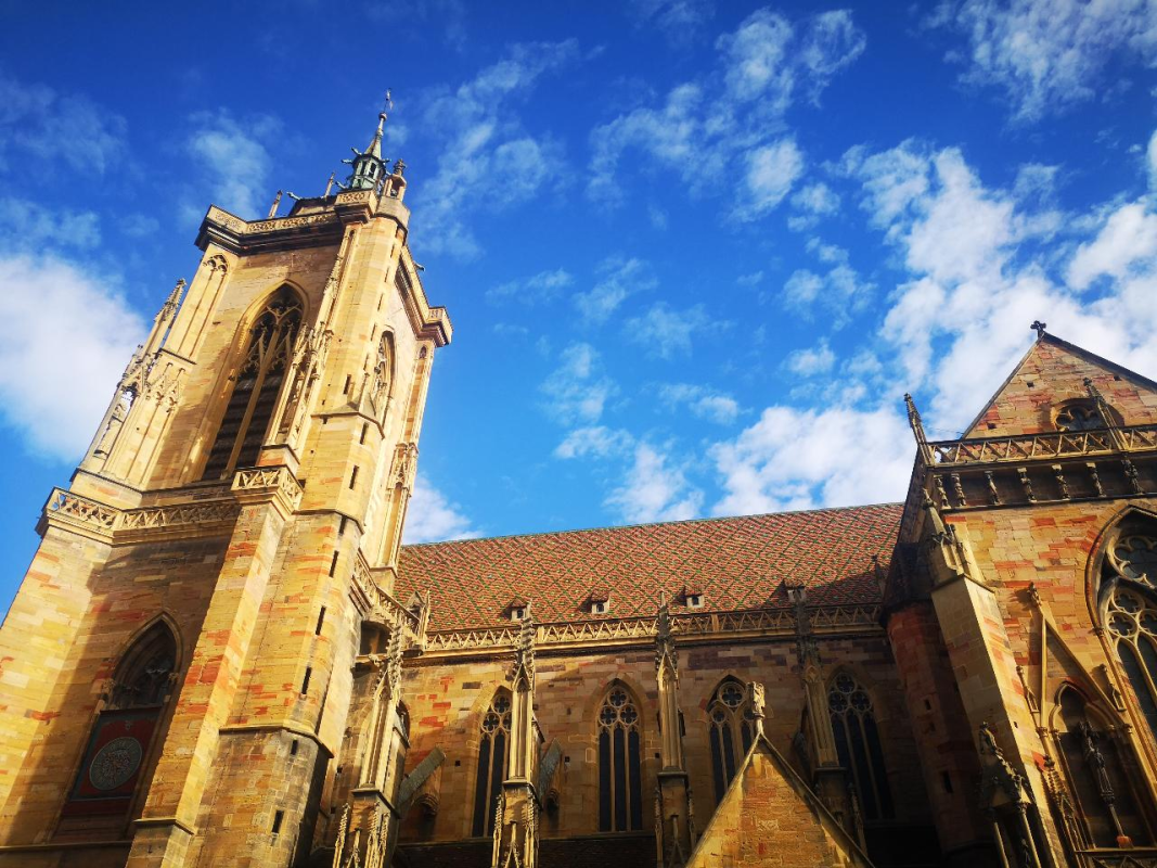 Ophorus Tours - Taste of Alsace: A Full Day Wines & Villages Private Tour from Strasbourg