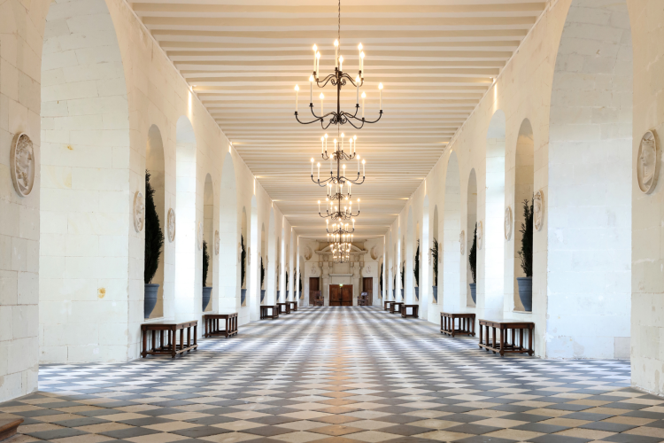 Ophorus Tours - Chenonceau Castle Visit from Tours: An Intimate Exploration