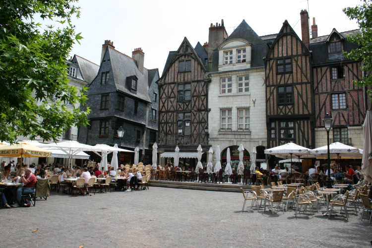 Ophorus Tours - Chenonceau Castle Visit from Tours: An Intimate Exploration