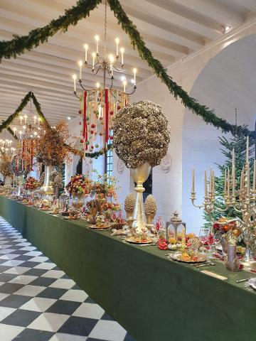 Ophorus Tours - Chenonceau Castle Visit from Tours: An Intimate Exploration
